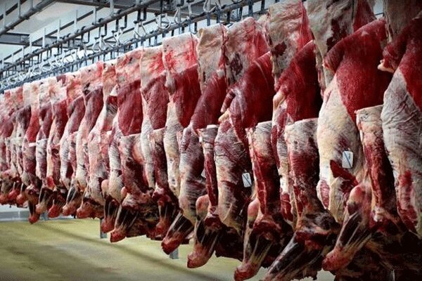 افشاگری عجیب رییس شورای تامین دام/ می‌خواهند گوشت را کیلویی ۲۰۰ هزار تومان کنند