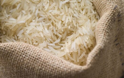 واکنش بانک مرکزی به ماجرای برنج‌های رسوبی در گمرک