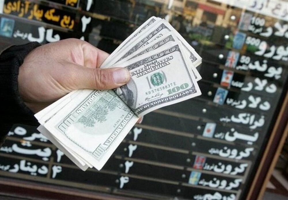 اقتصاد ایران در حال دلاریزه شدن است/ تاثیر کسری بودجه بر بازار ارز چیست؟