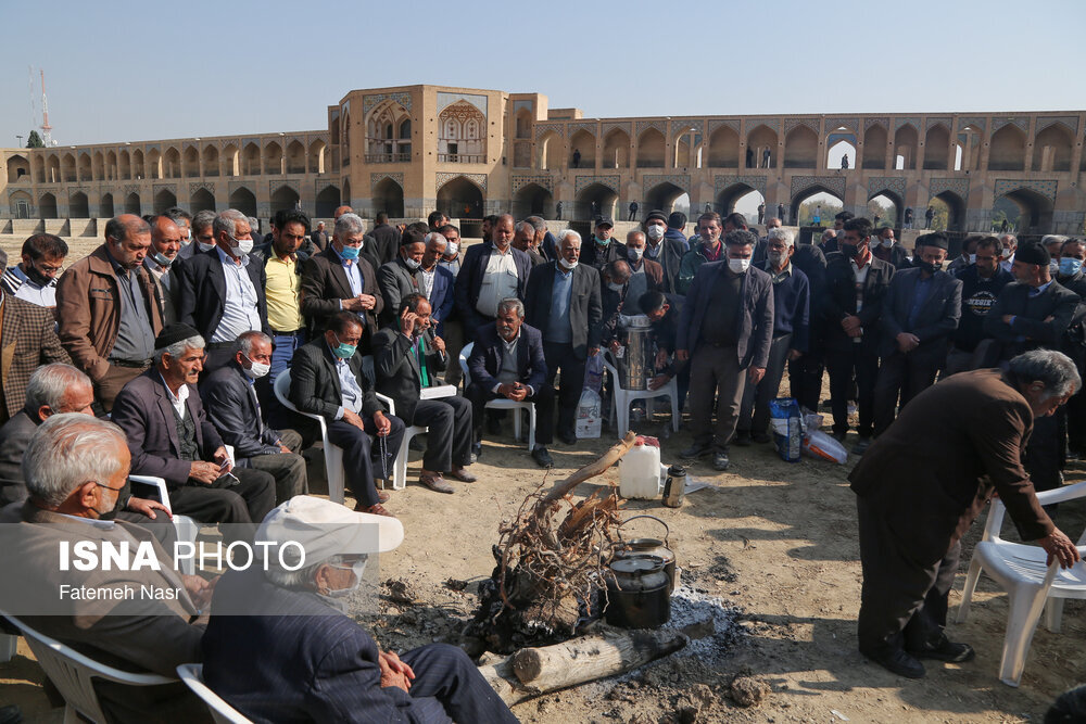 مثل کشت خشخاش برنج هم در اصفهان ممنوع شود