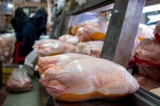 کاهش قیمت مرغ و تخم مرغ در بازار/ آخرین قیمت‌ها زیر نرخ مصوب