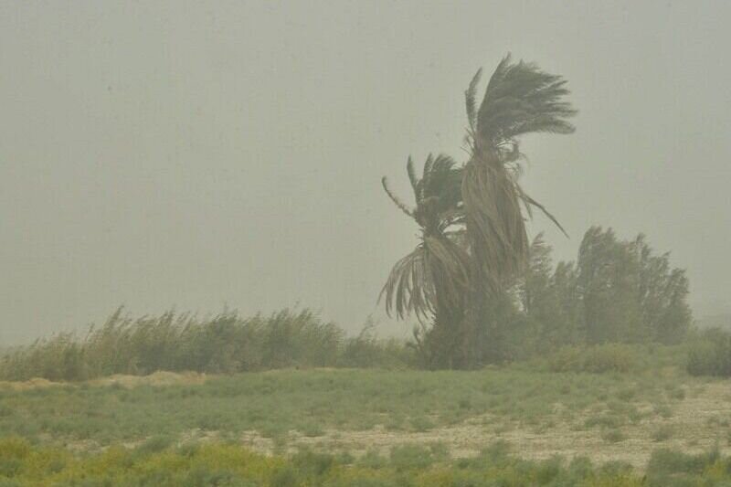 هشدار قرمز وزش باد شدید در جنوب کشور؛ توفان گرد و خاک در این ۱۲ استان