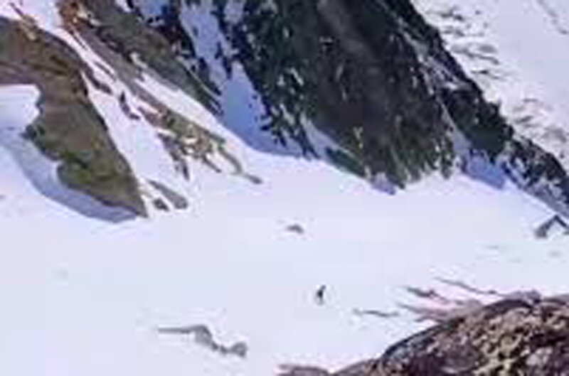 ببینید | تمرینات هوازی بز کوهی چامویس