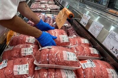 قیمت روز گوشت قرمز / سر دست پاک کرده گوساله چند؟