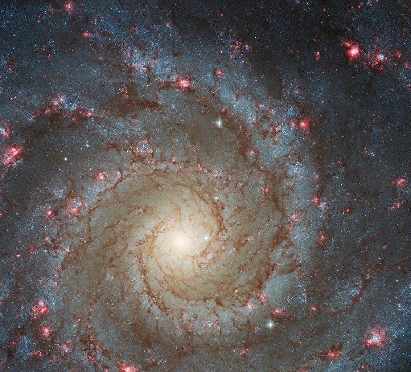عکس l کهکشان M۷۴ شما را مجذوب خود می‌کند