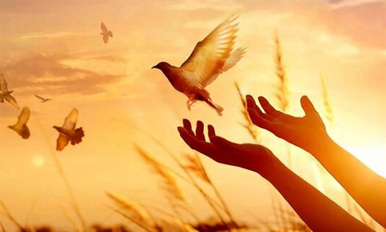 رهایی دوزندانی محکوم به قصاص در محمدیه