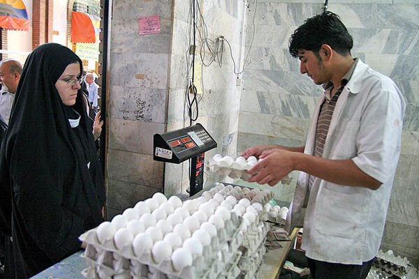 وزارت جهاد کشاورزی باز هم اعلام کرد؛ فروش هرشانه تخم مرغ بالاتر از ۷۶ هزار تومان تخلف است