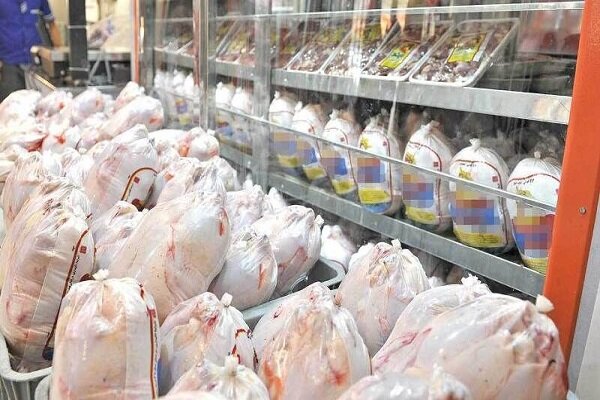 صادرات مرغ تا اطلاع ثانوی ممنوع شد