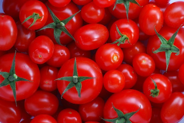آغاز توزیع گوجه فرنگی جنوب در میادین/ هرکیلو گوجه فرنگی درجه یک: ۱۱ هزارتومان