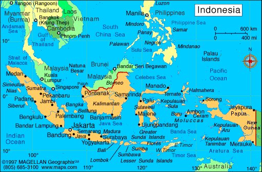 پلیس اندونزی عضو ارشد گروه “جماعة الاسلامیة” را دستگیر کرد