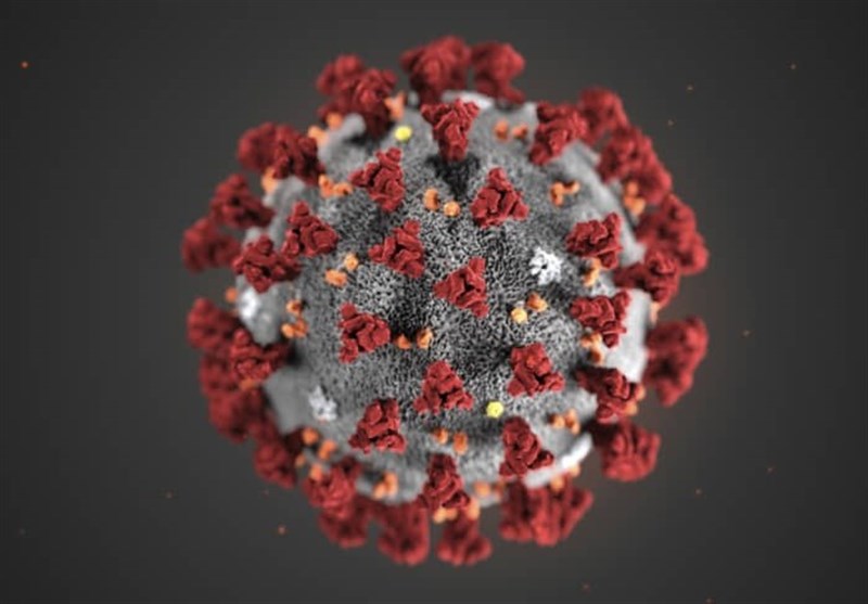 کشف گونه جدید ویروس کرونا در نیجریه