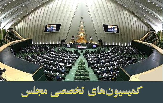 بررسی گزارش ترور سردار سلیمانی در دستور کار کمیسیون‌های تخصصی مجلس