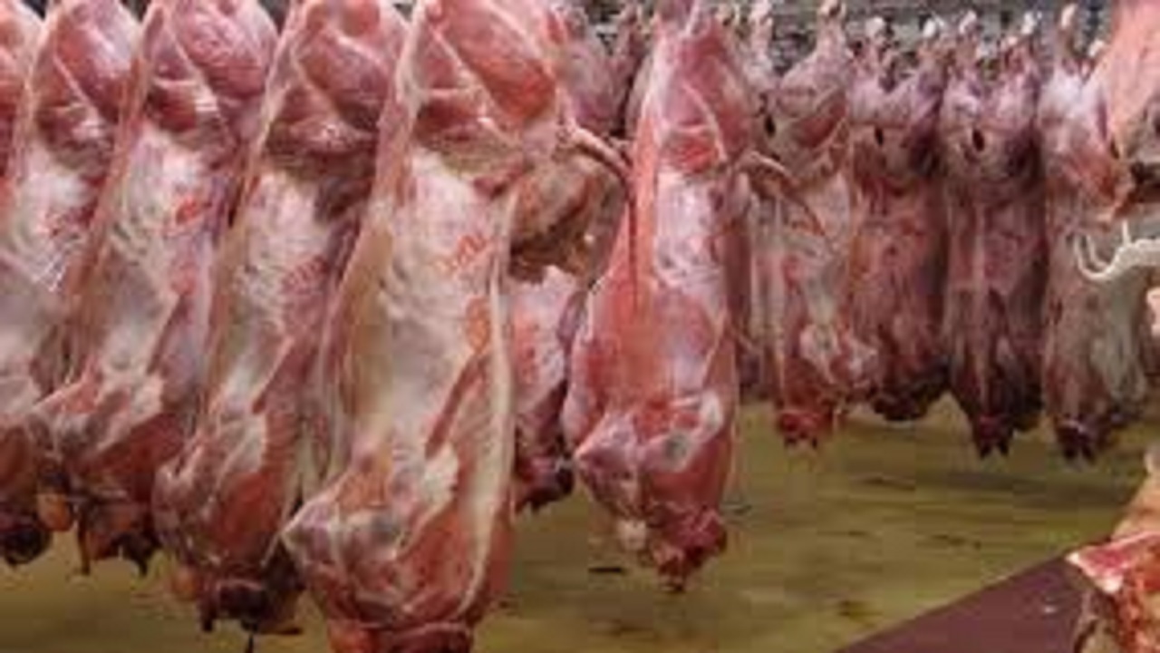 نرخ هر کیلو شقه گوسفندی ۱۱۵ هزار تومان شد/ قاچاق دام رونقی ندارد