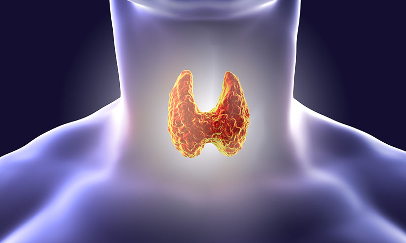 ۲ نکته درباره بهبود عملکرد غده تیروئید