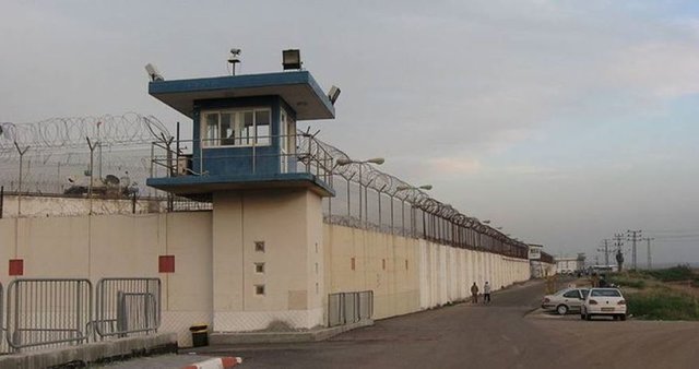 زندان‌های اسرائیل صحنه شکنجه اسرا شده است