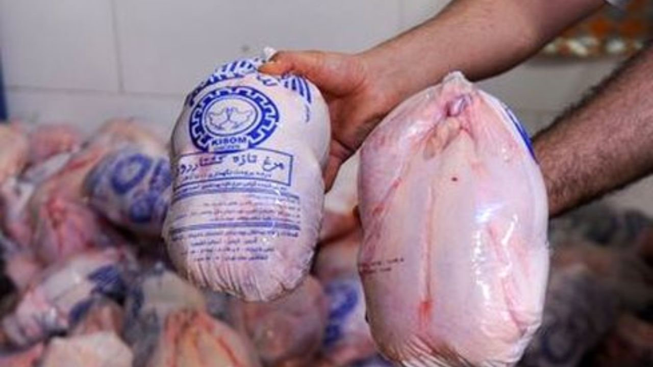 ماجرای عدم ترخیص ۹۰ تن مرغ وارداتی چه بود؟