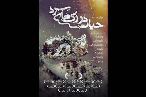 روایتی از زندگی اسرارآمیز خزندگان غرب ایران در شبکه مستند
