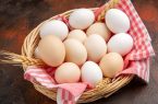 صادرات تخم مرغ چگونه انجام می‌شود؟