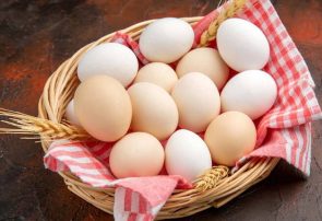صادرات تخم مرغ چگونه انجام می‌شود؟